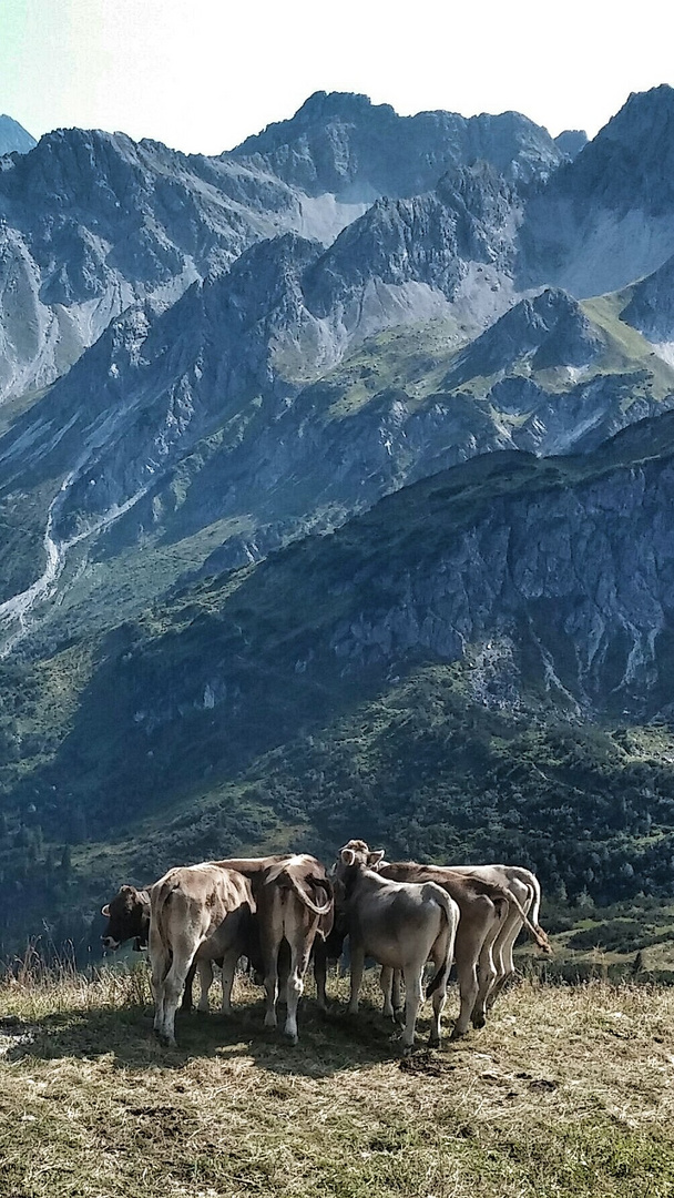 konspirativer Treff im Allgäu