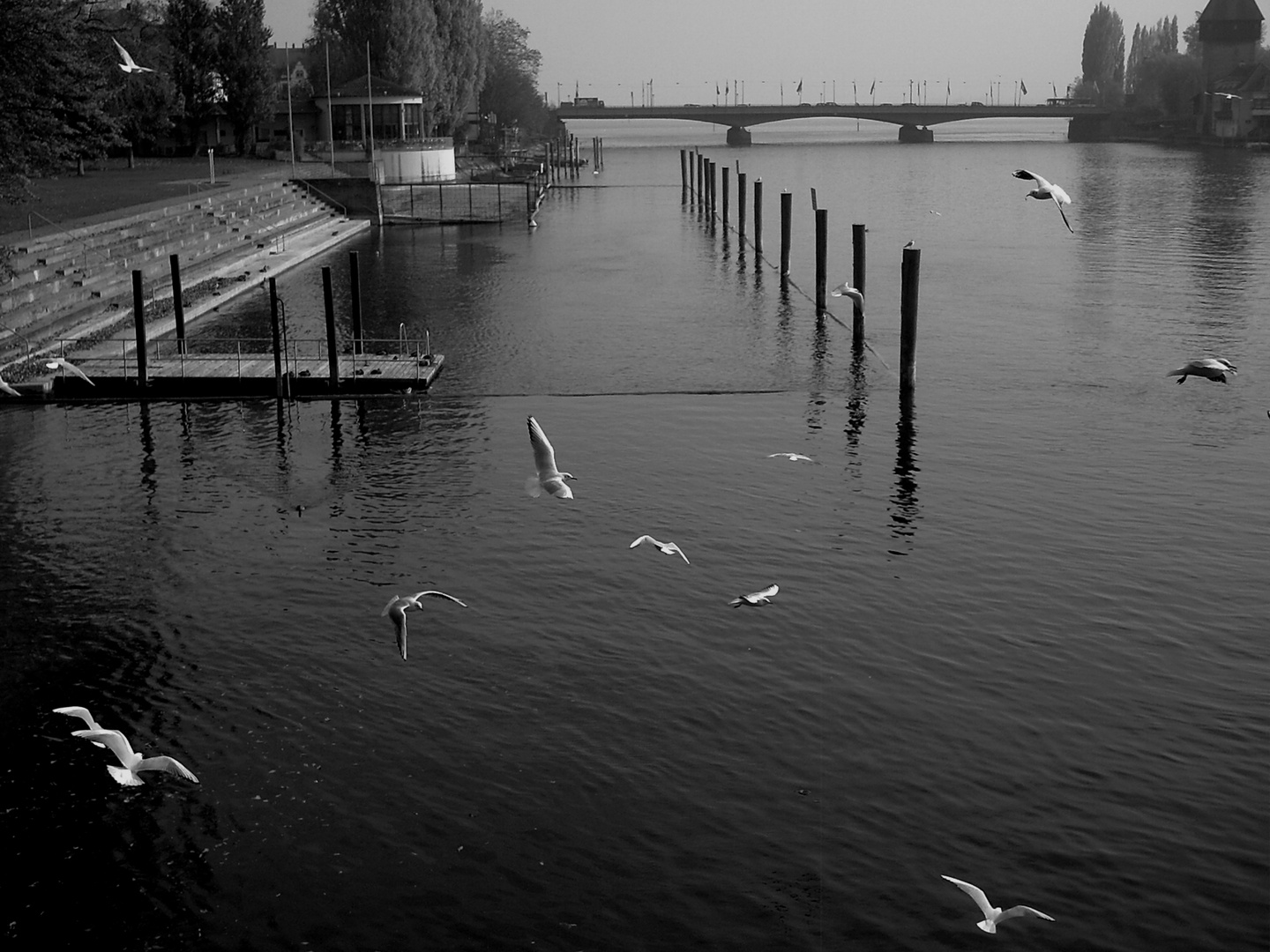 Konstanz Blanco & Negro