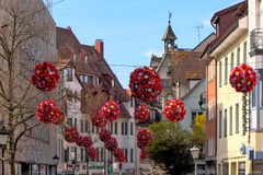 Konstanz blüht auf