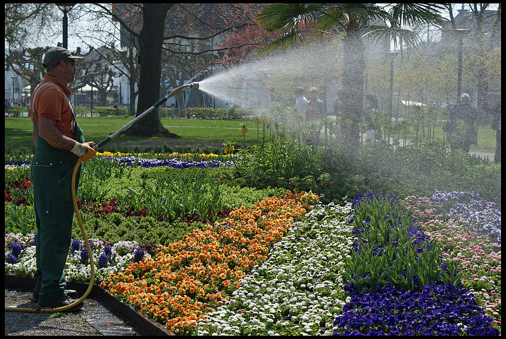 Konstanz - Der Wassermann