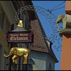 Konstanz - Elefanten