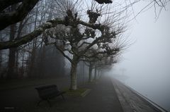 Konstanz-Nebel in der Seestrasse 