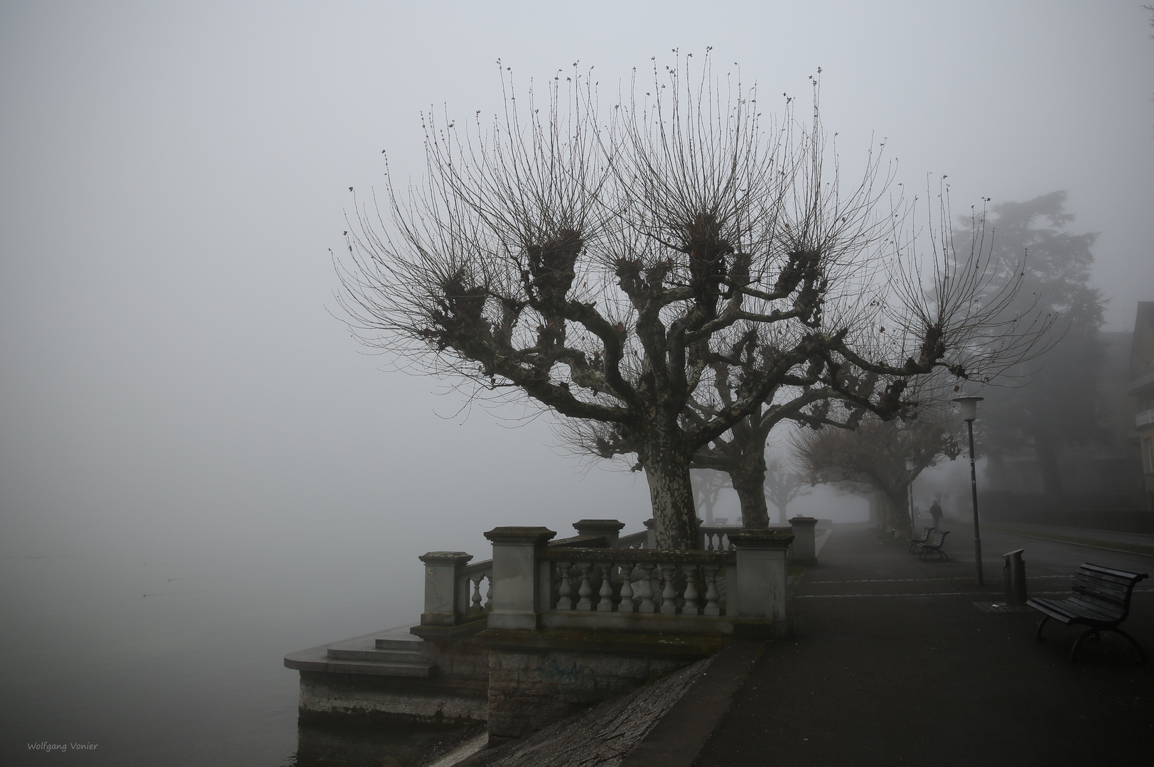 Konstanz-Nebel in der Seestrasse