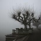 Konstanz-Nebel in der Seestrasse