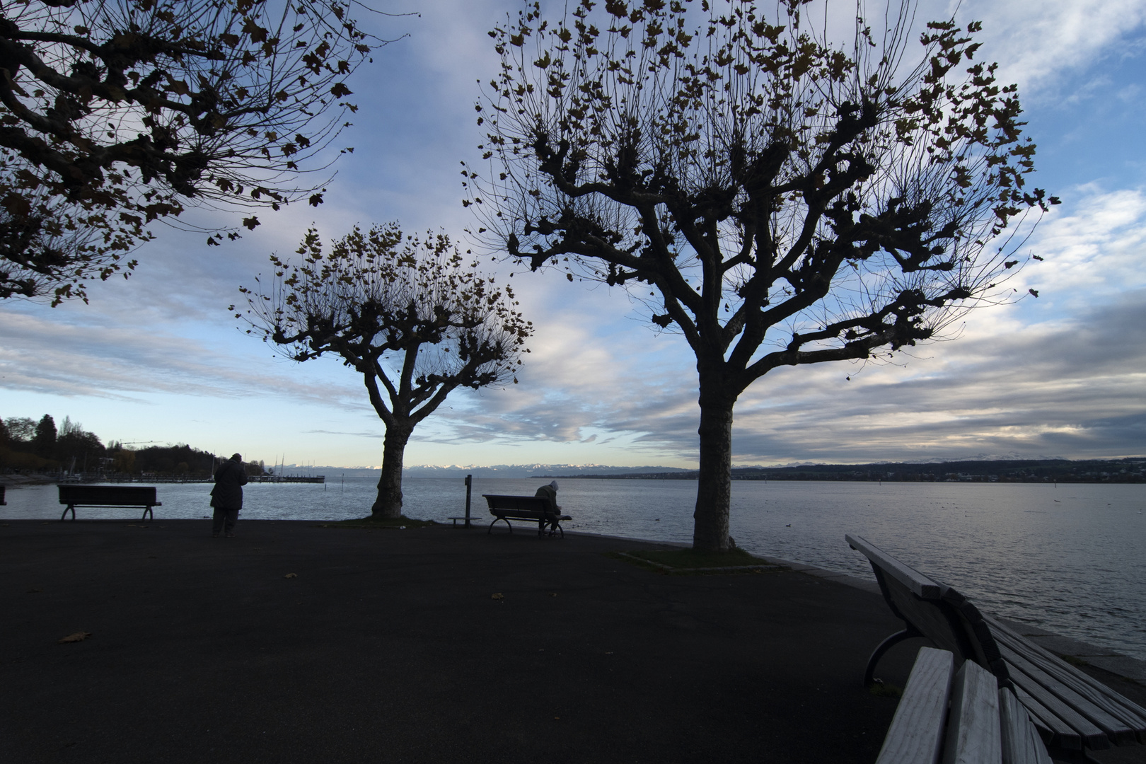 Konstanz Seeblick November