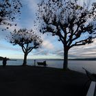 Konstanz Seeblick November