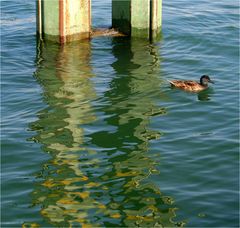 Konstanzer Bodenseeansichten (1)