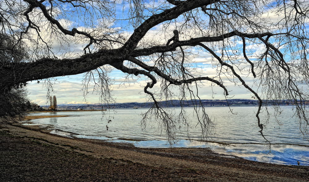 Konstanzer Fährhafen