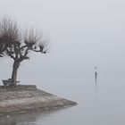 Konstanzer See im Nebel