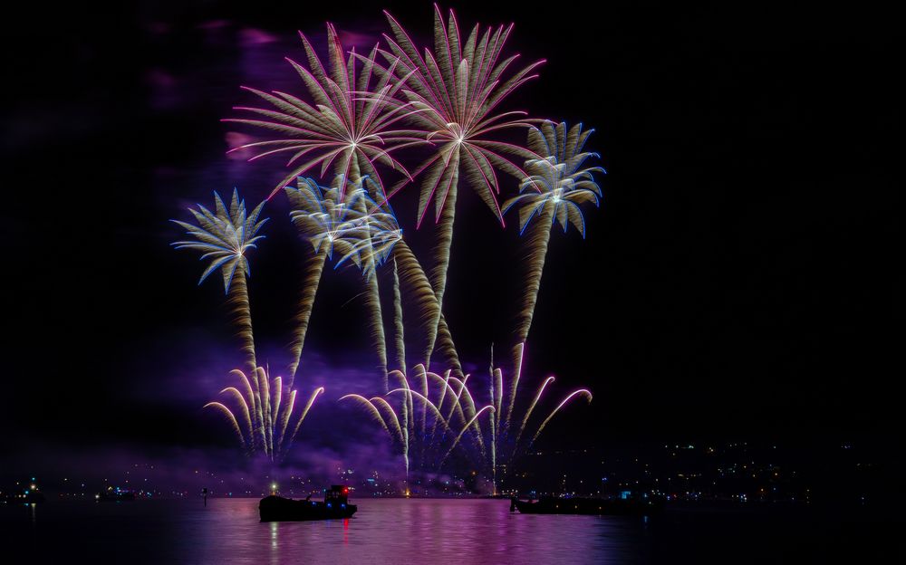 Konstanzer Seenachtsfeuerwerk 15