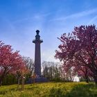 Konstitutionssäule