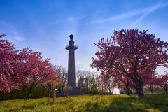 Konstitutionssäule