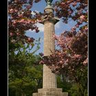 Konstitutionssäule im Frühlingsgewand