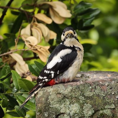 .*.*.*.*  Kontaktaufnahme .*.*.*.*