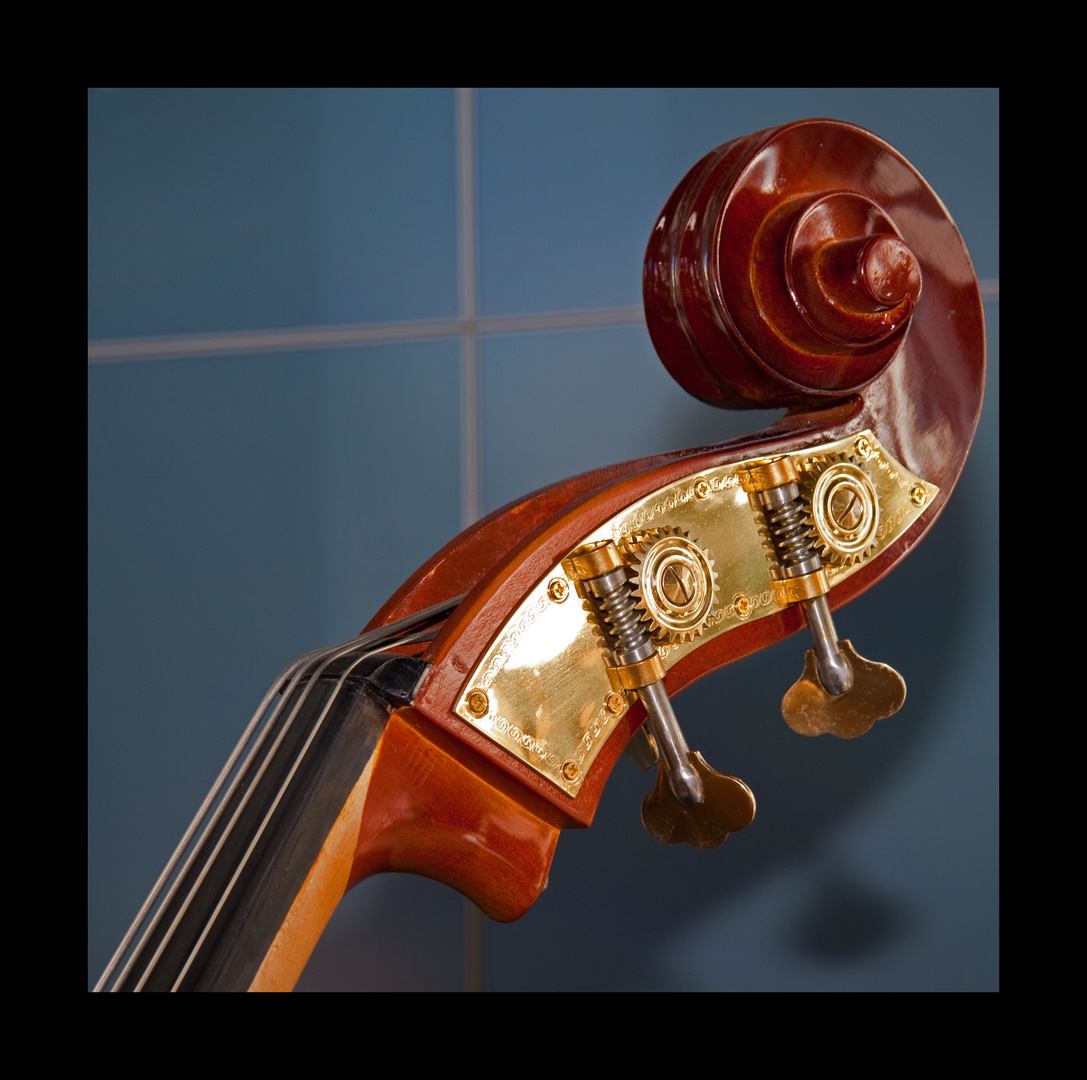 Kontrabass Foto Bild kunstfotografie kultur musik Kontrabass Foto Bild kunstfotografie kultur musik