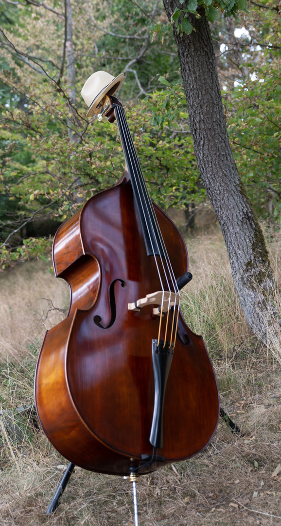 Kontrabass im Wald