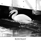 Kontrast