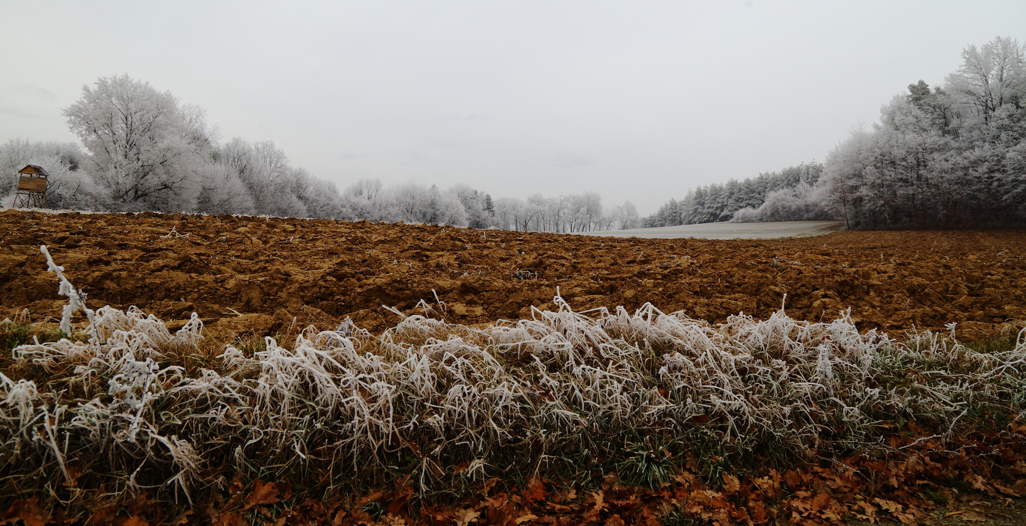 Kontrast Landschaft