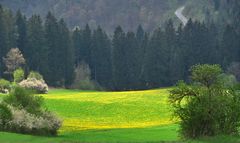 Kontrast zum möglichen Schnee