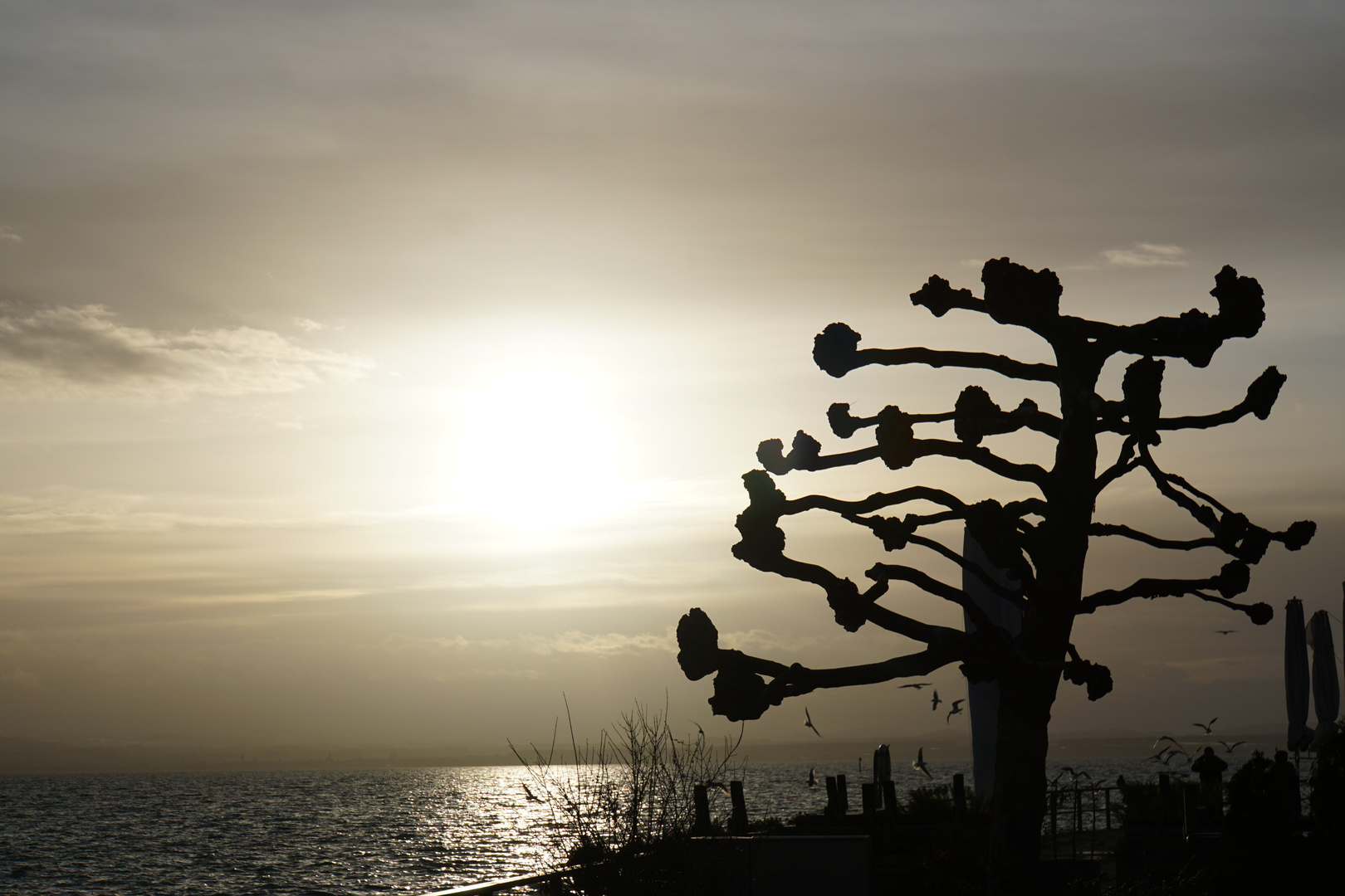 Kontraste am Bodensee