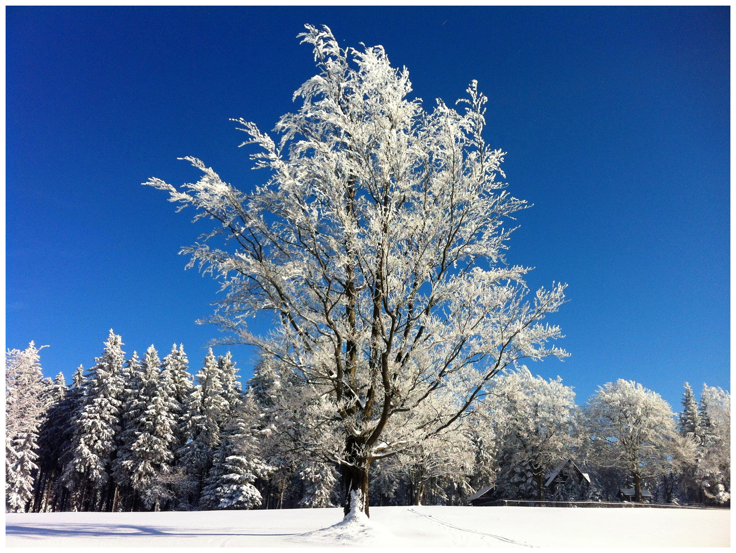 Kontraste - atemberaubend schöne Winterlandschaft