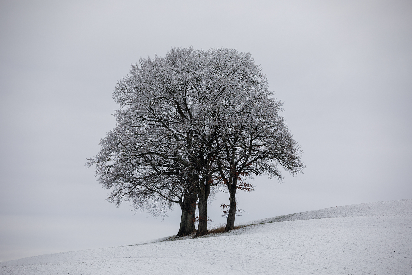 Kontraste der Natur