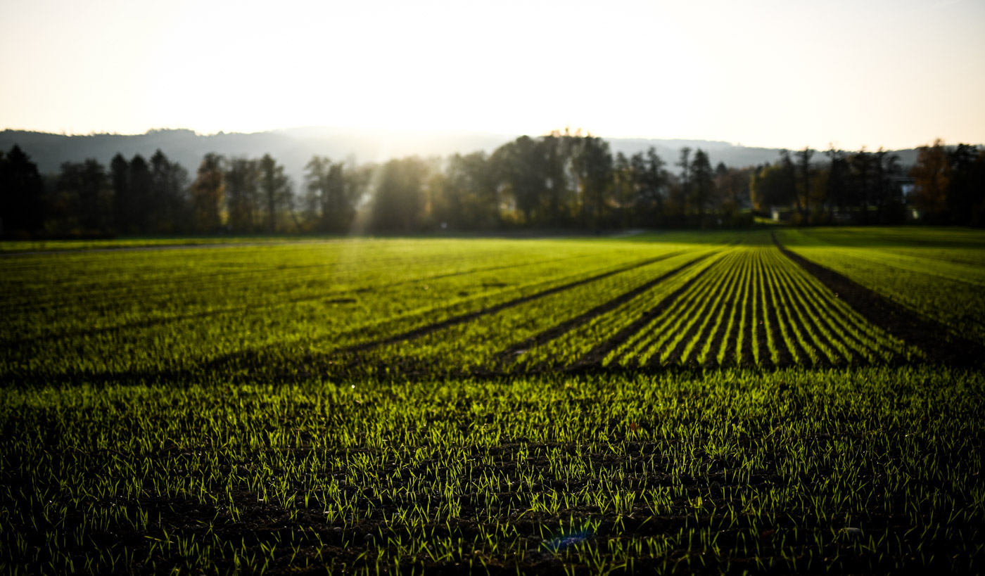 Kontraste im Feld of View