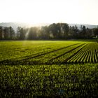 Kontraste im Feld of View