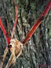 Kontraste in der Natur