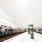 Kontraste in Liège-Guillemins