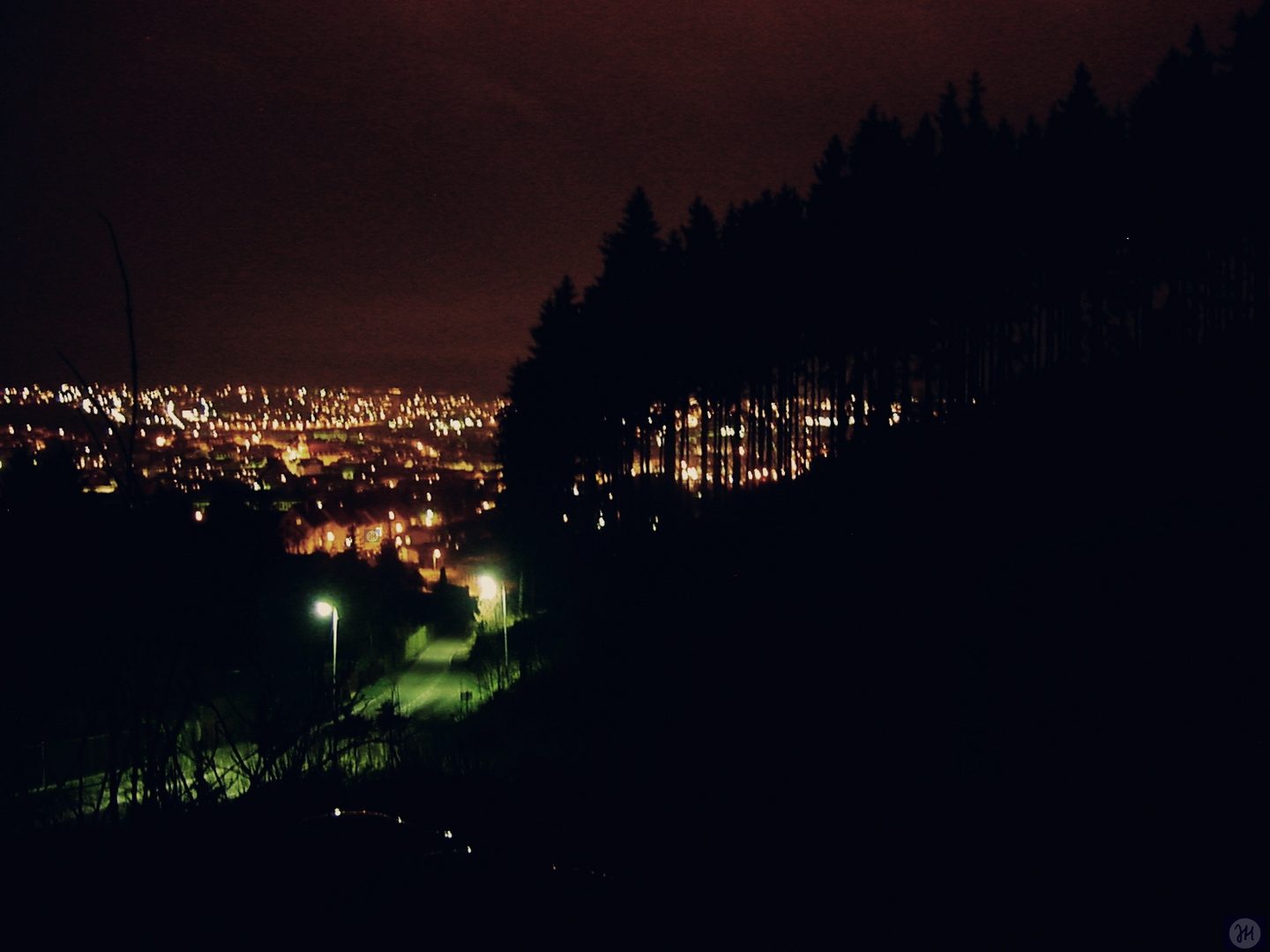 Kontraste - Skyline im Wald.