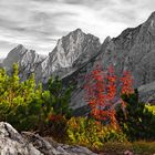 Kontraste vor mächtigem Felsengestein - Take 3