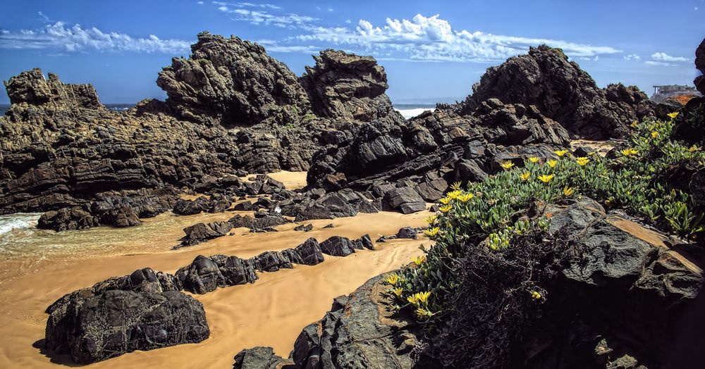 Kontraste - wilde Landschaft am Keurboomstrand  in Süd Afrika