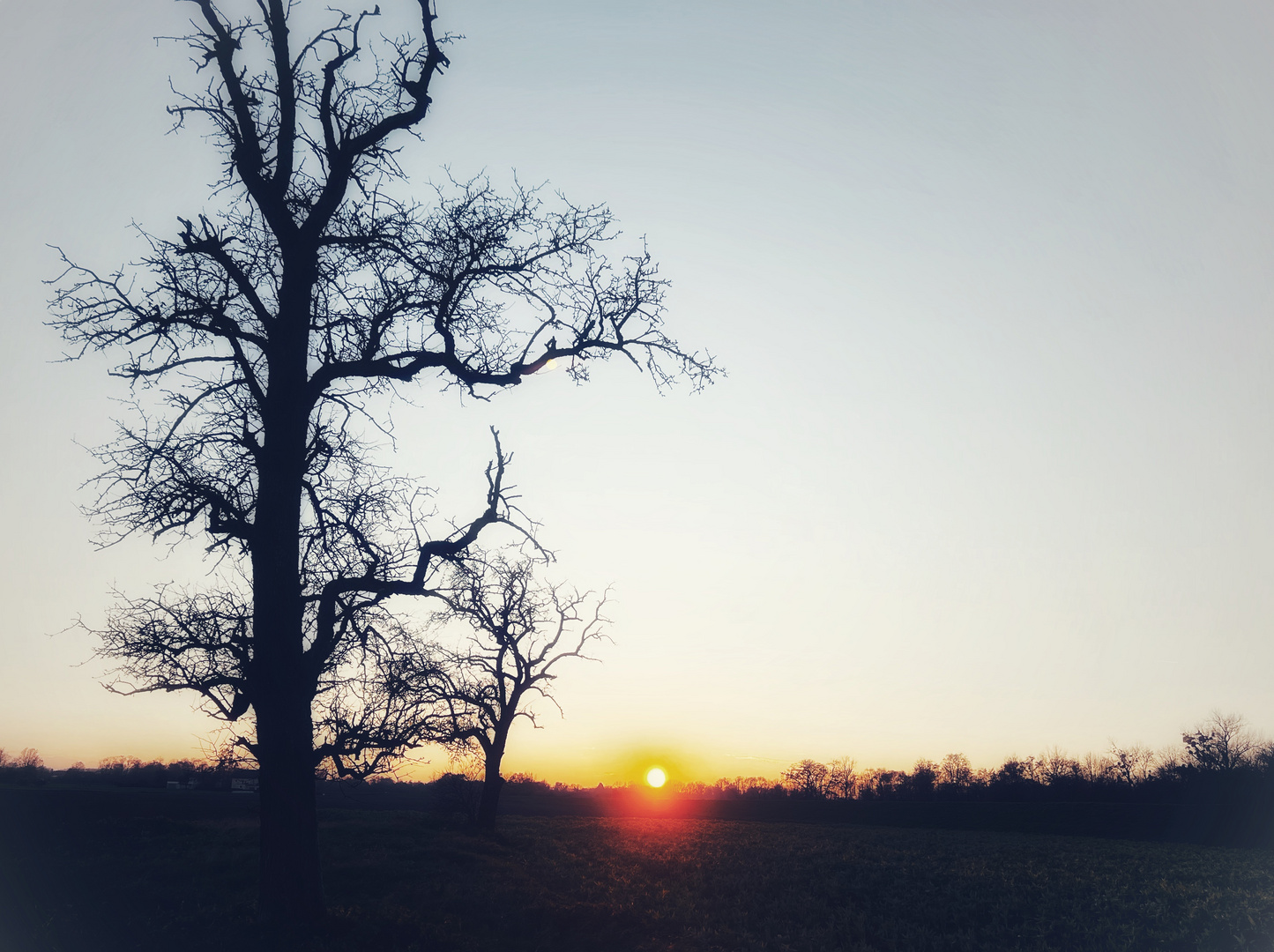 Kontrastreicher Abendspaziergang 