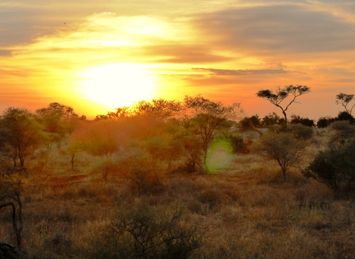 kontrastreicher Sunset im Tarangire-Park!