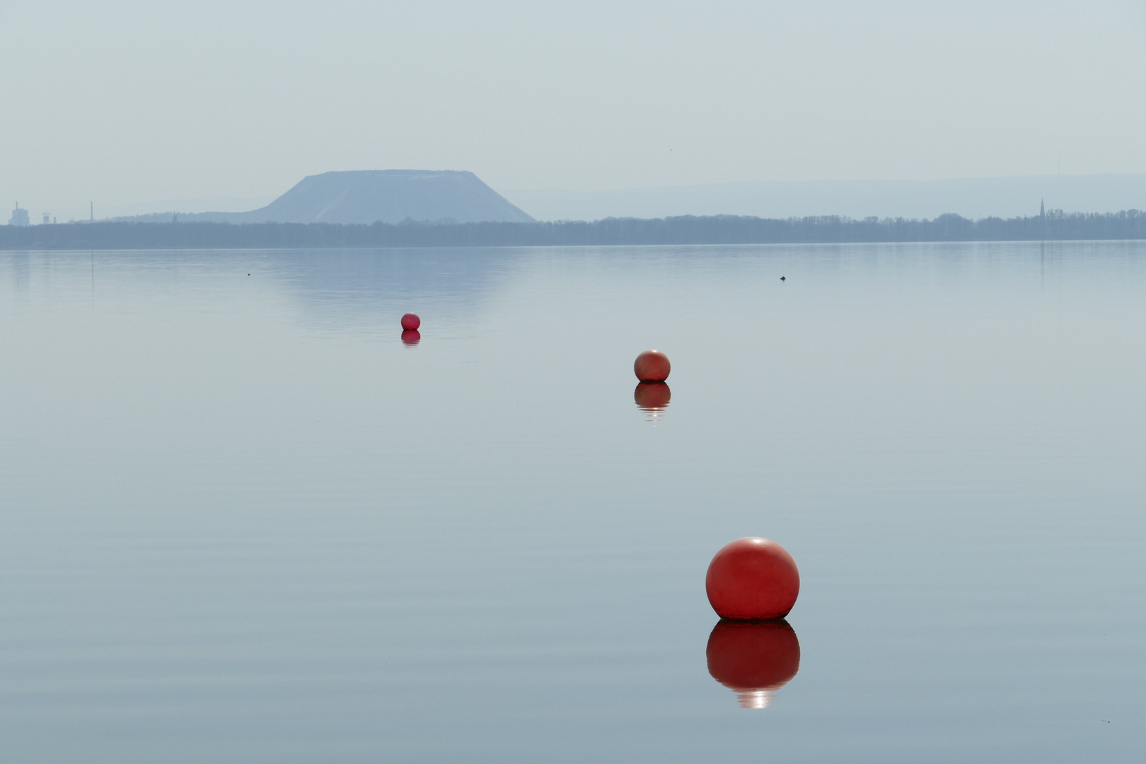 Kontrastreiches Steinhuder Meer 