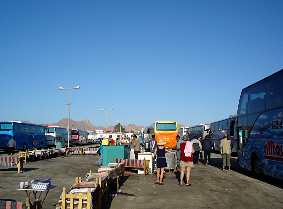 Konvoi-Logistik in Safaga