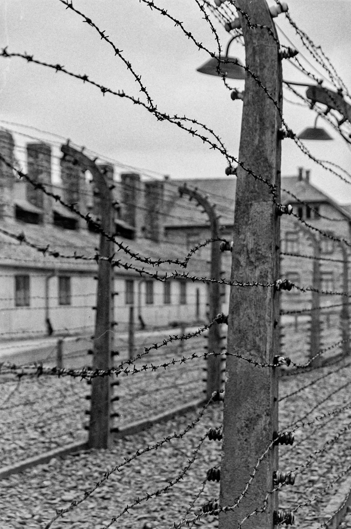 Konzentrationslager Auschwitz