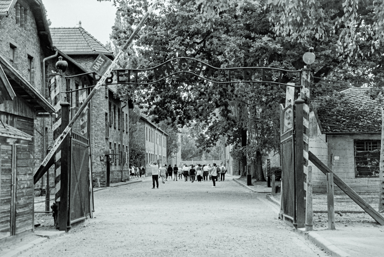 Konzentrationslager Auschwitz