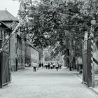 Konzentrationslager Auschwitz
