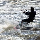 Konzentriert durchs Wasser 