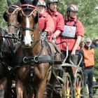 Konzentriert und erwartungsvoll ....