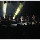 Konzert der Toten Hosen 30.12.2008