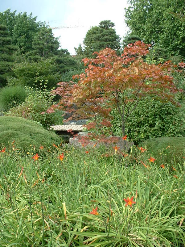 Kooen-Der Japanische Garten