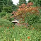 Kooen-Der Japanische Garten