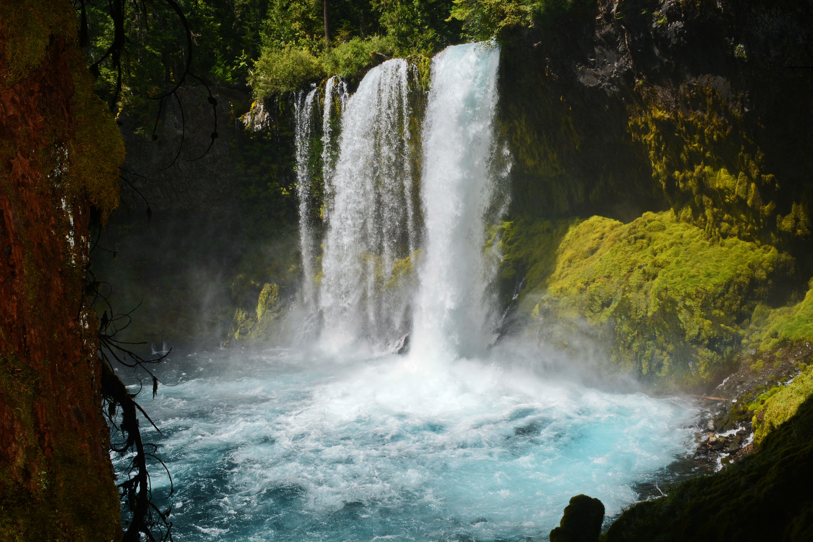 Koosah Falls - Oregon