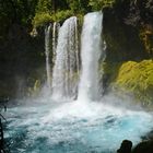 Koosah Falls - Oregon