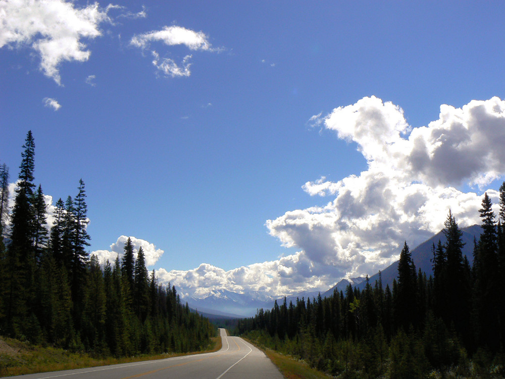 Kootenay N.P. British Columbia, Canada.