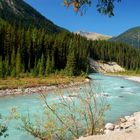 Kootenay River (British Columbia, Canada) 2009