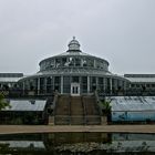 Kopenhagen, Botanischer Garten, Palmenhaus